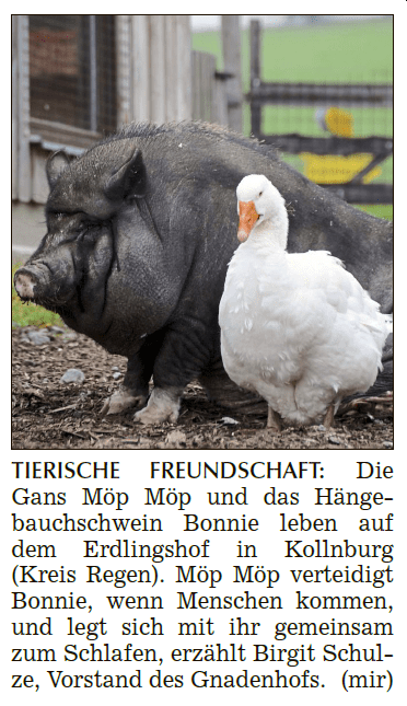 Tag der Freundschaft am 30.07.2020 - Landshuter Zeitung ...